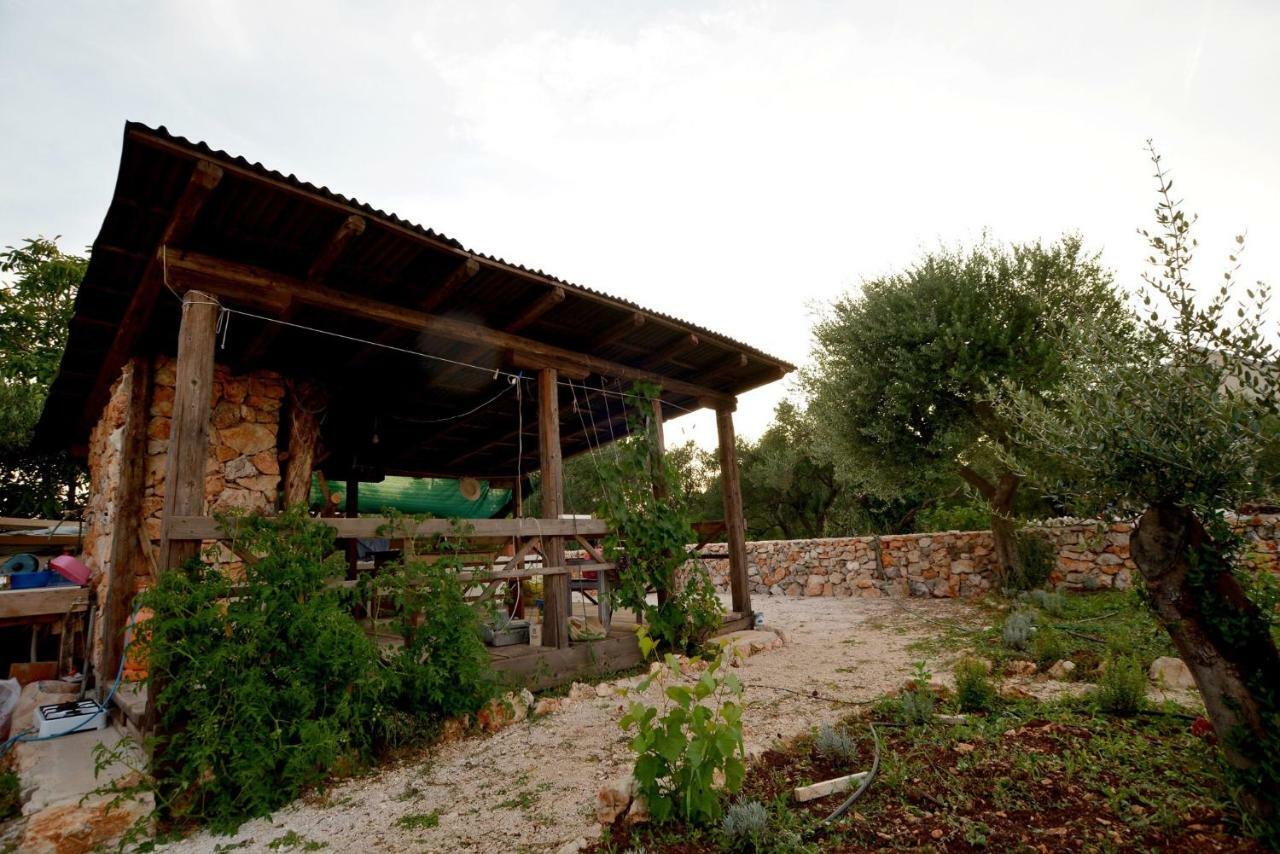 Luxury Boduja Apartament
